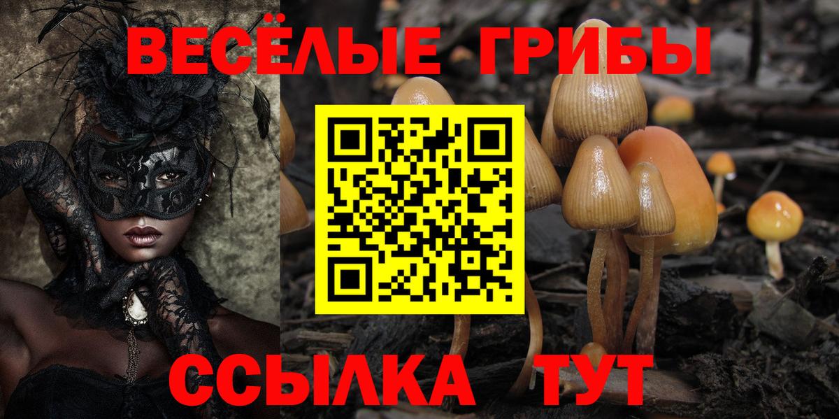 Галлюциногенные грибы мухоморы  как найти наркотики  Галлюциногенные грибы Cubensis  Сосновоборск  Вход с VPN 